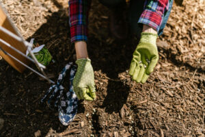 organic-mulch-in-hamden,-ct